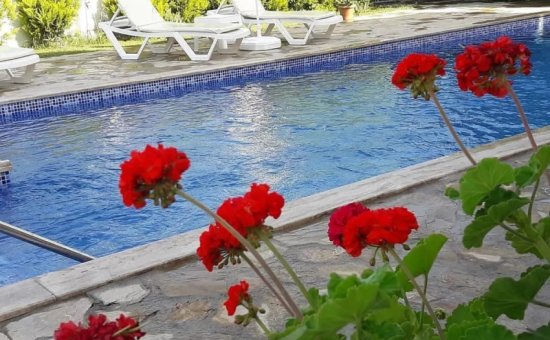 Dalyan Villa Vermietung Villa Urlaub Vermietung Villa