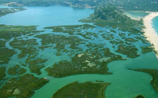 Dalyan Boat Tour